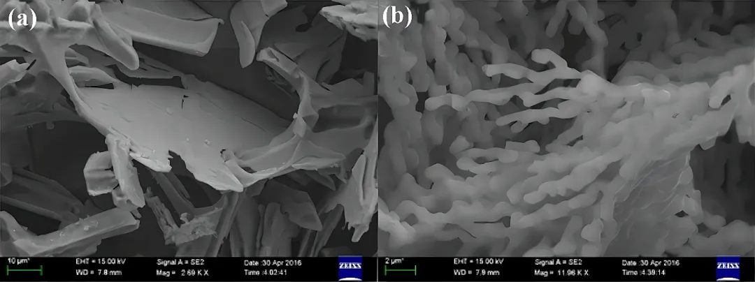 不同Eu含量下的共晶Si相3D形貌圖 不同Eu含量下的共晶Si相3D形貌圖